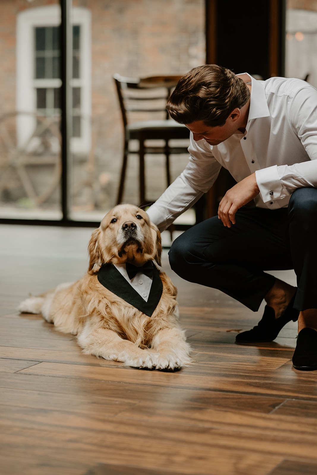 Groom gently pets his golden retriever wearing a tuxedo bandana on the wooden floor.