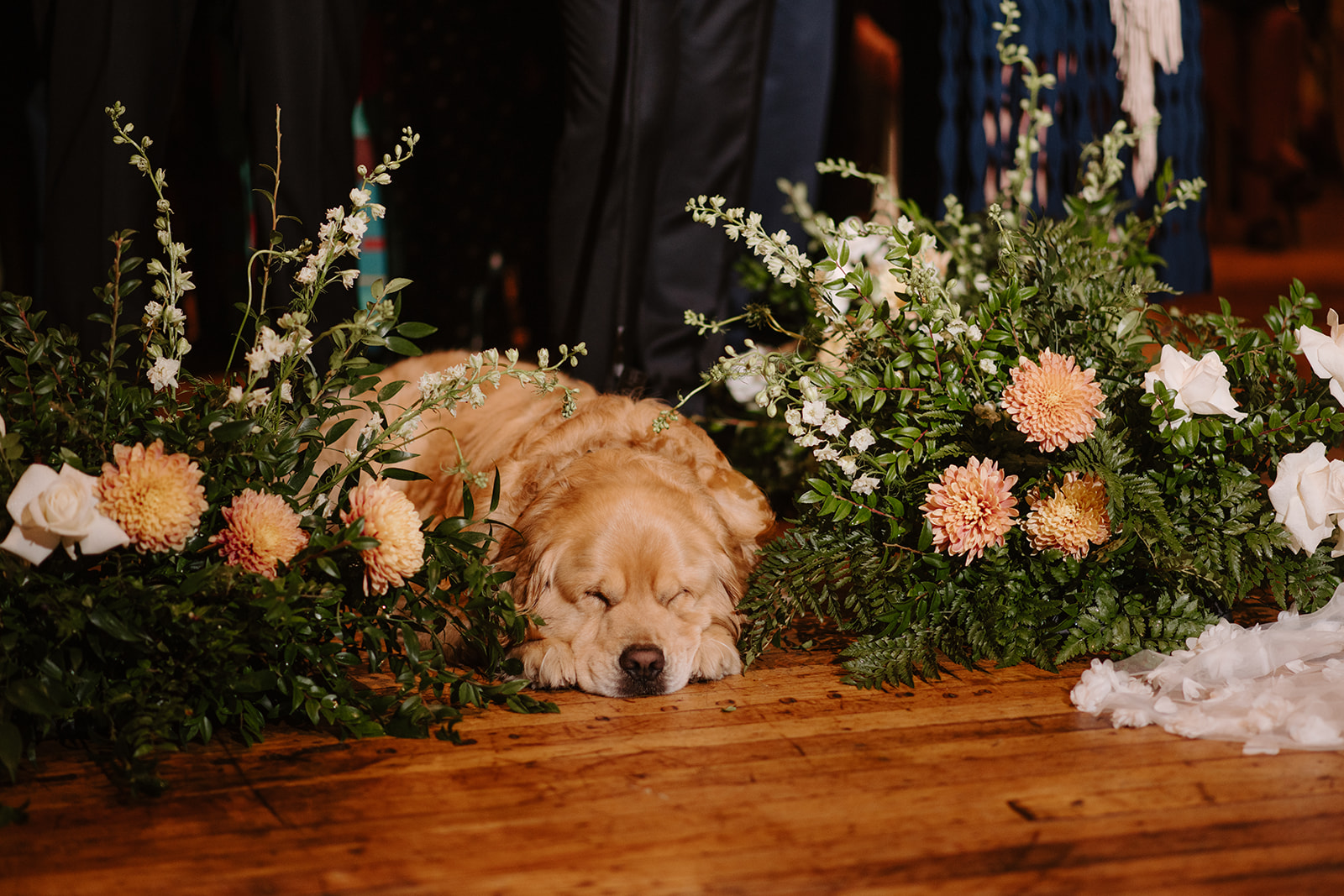 Golden retriever sleeps peacefully on the floor between floral arrangements during the ceremony.